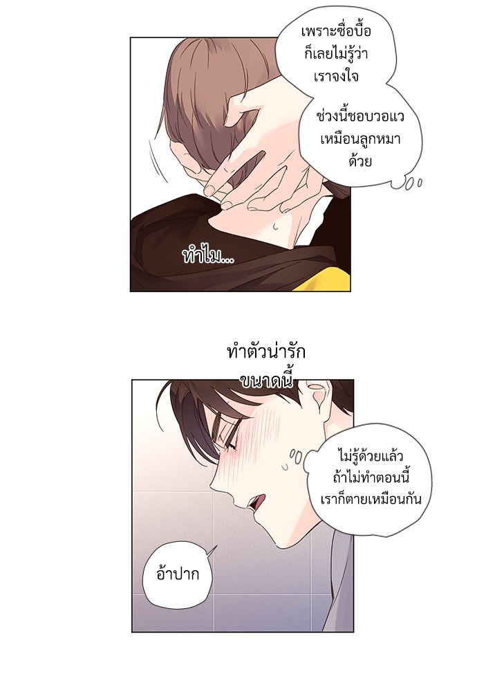 4 Week Lovers แฟนกัน 4 สัปดาห์ 41 39