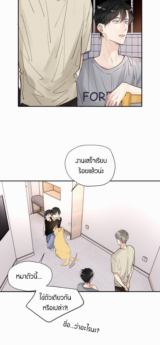 ไถ่บาป 17 06